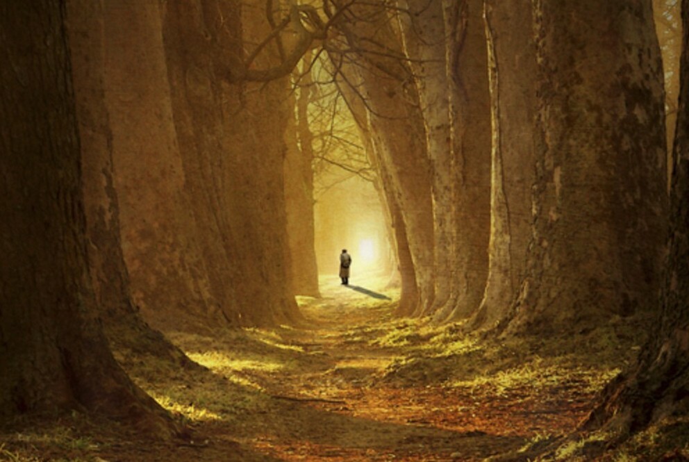 The Pathless Path - Online Series Part 3