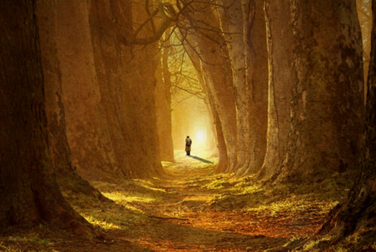 Die Before You Die - Online Series Part 2