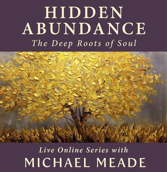 Hidden Abundance - Live Online Series