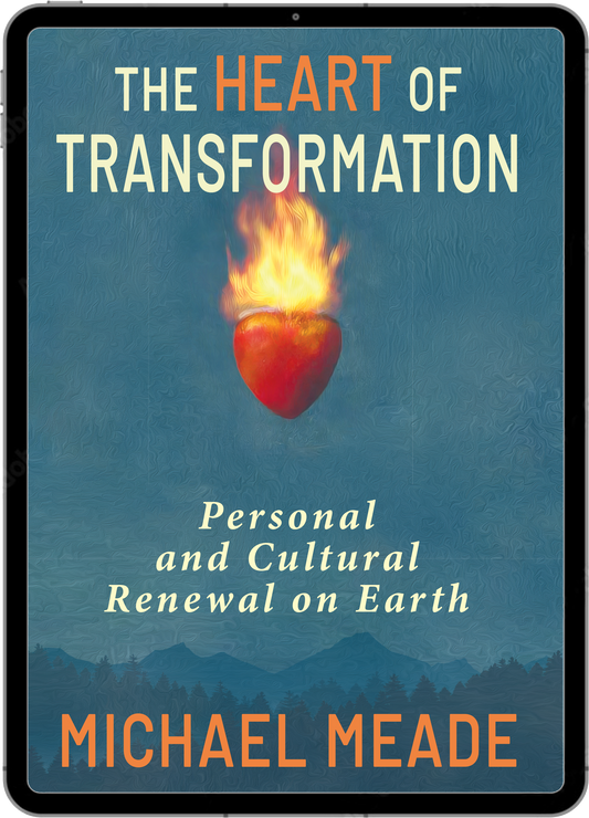 The Heart of transformation - eBook